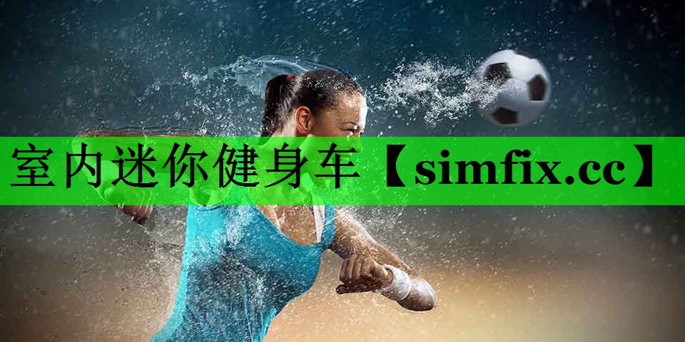 室内迷你健身车