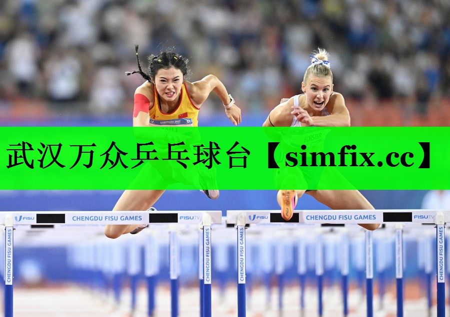武汉万众乒乓球台
