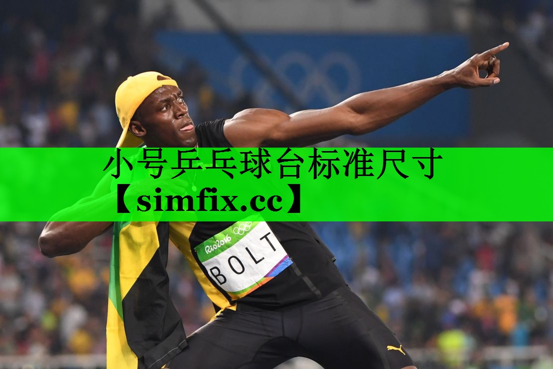 小号乒乓球台标准尺寸