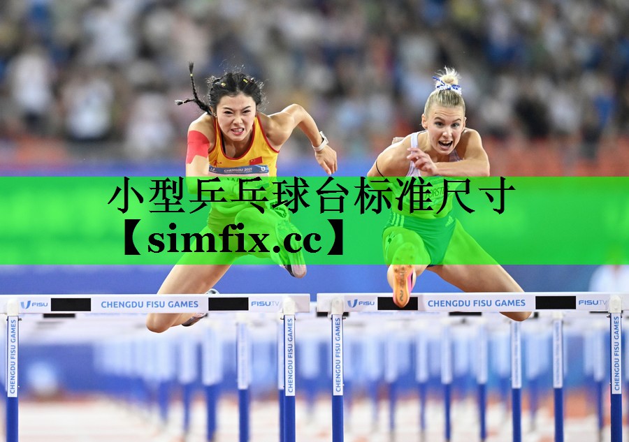 小型乒乓球台标准尺寸