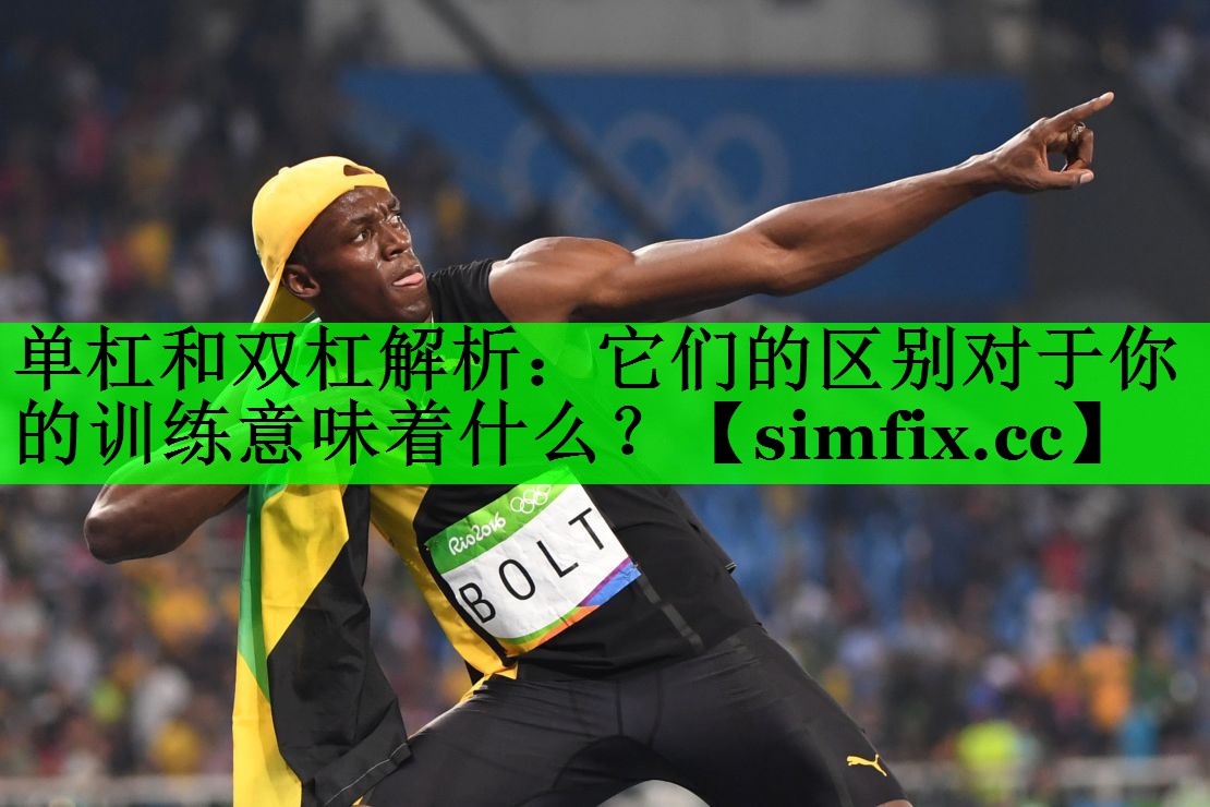 单杠和双杠解析：它们的区别对于你的训练意味着什么？