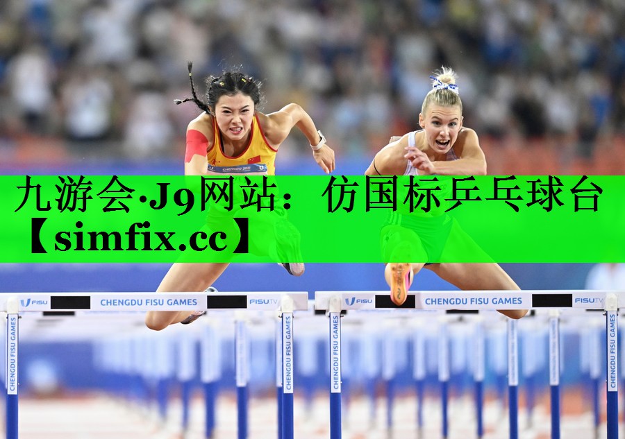 仿国标乒乓球台