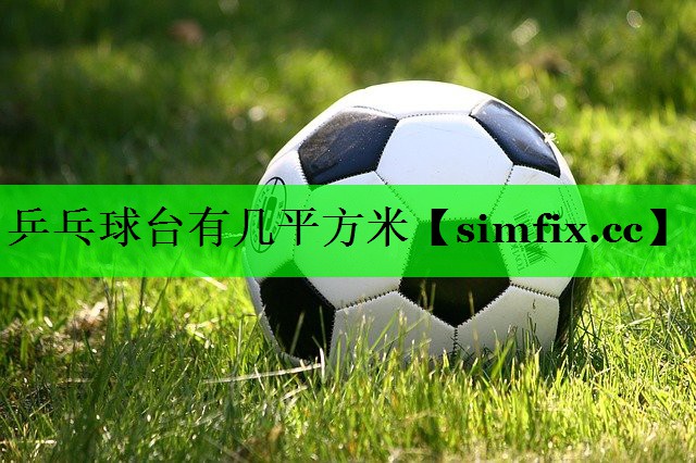 乒乓球台有几平方米