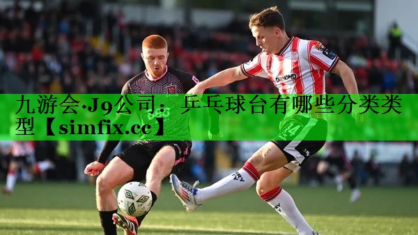 乒乓球台有哪些分类类型